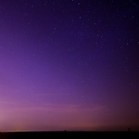 此處無榮譽 (This is Not a Place of Honour)